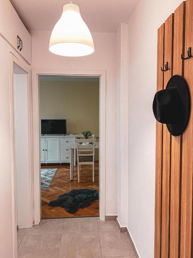 Central And Modern Apartment With Free Parking Timişoara Exteriör bild