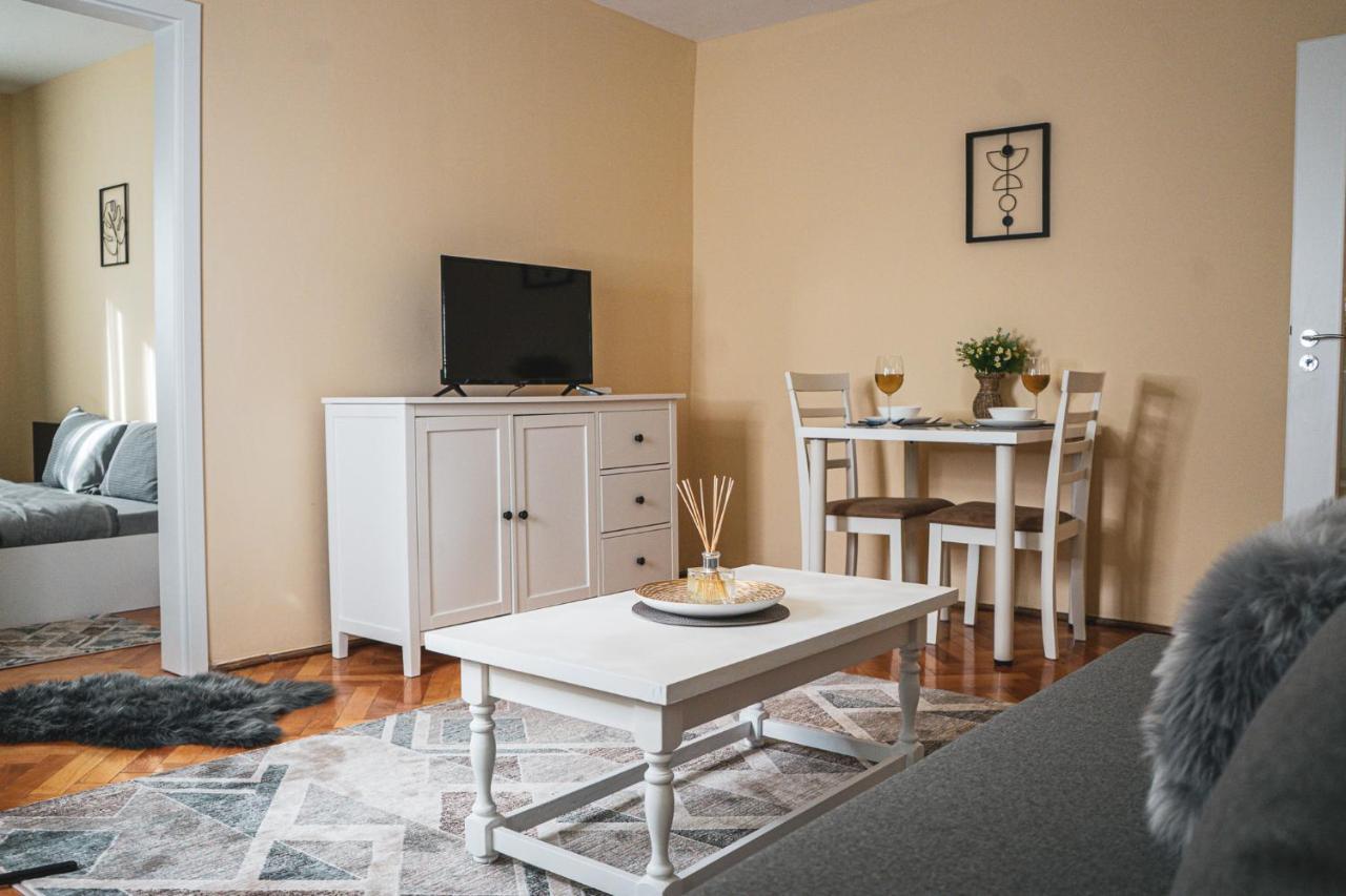 Central And Modern Apartment With Free Parking Timişoara Exteriör bild