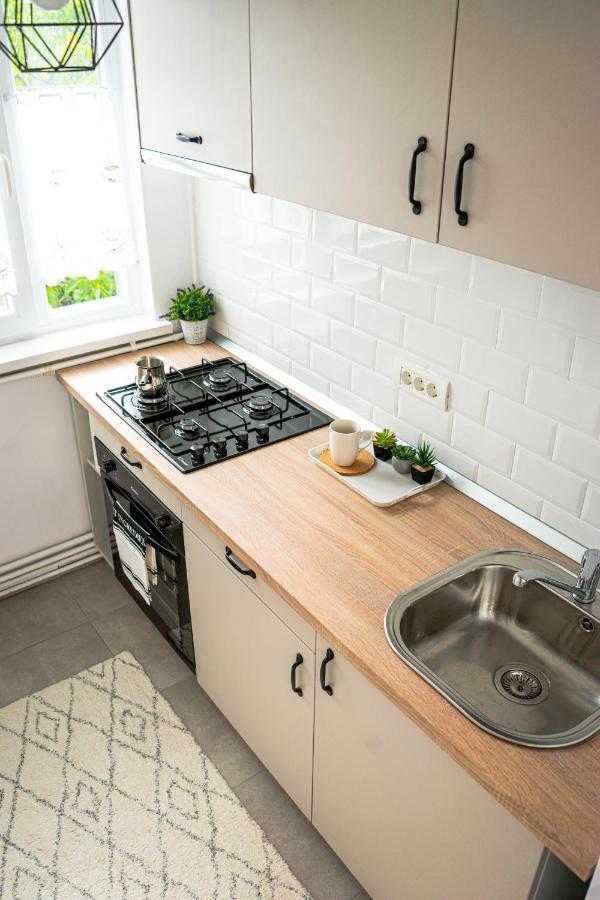 Central And Modern Apartment With Free Parking Timişoara Exteriör bild